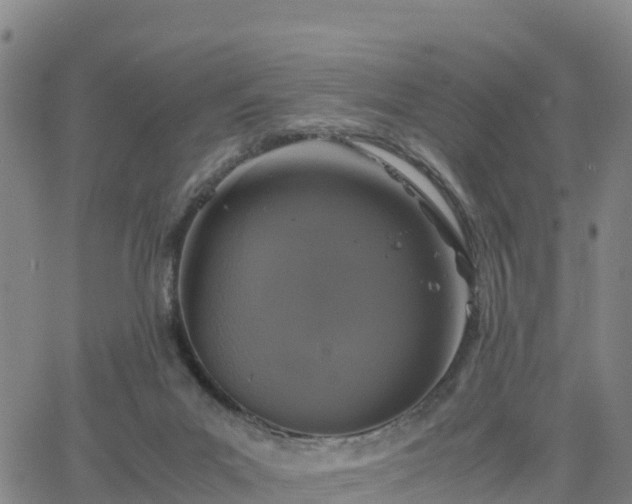 X0000063460023200601271616