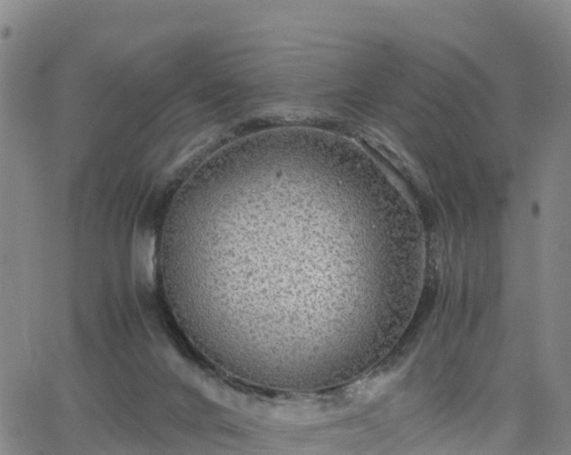 X0000063460024200601271616