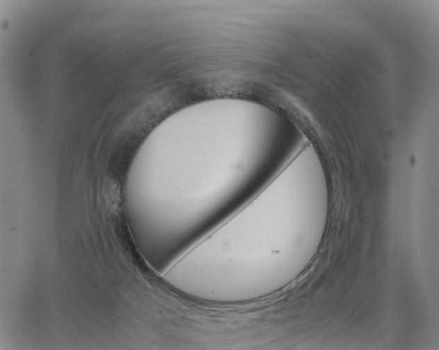 X0000063460025200601271616