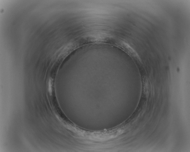 X0000063460026200601271616