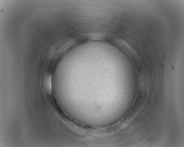 X0000063460028200601271615