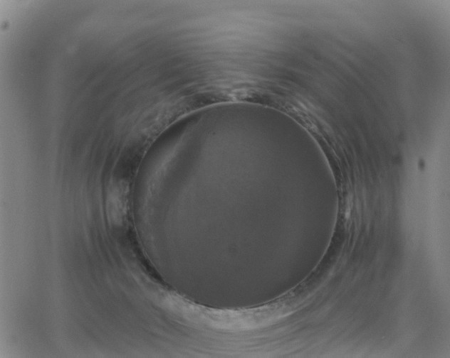 X0000063460030200601271615