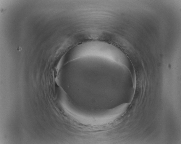 X0000063460031200601271615