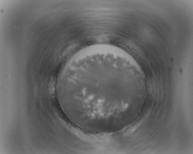 X0000063460032200601271615