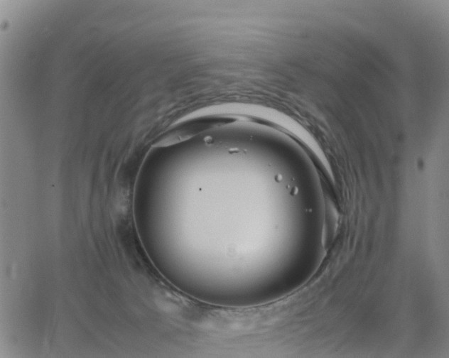 X0000063460033200601271615