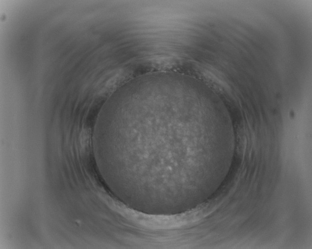 X0000063460034200601271615