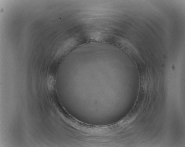 X0000063460036200601271615