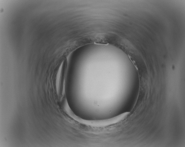 X0000063460037200601271615