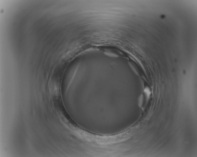 X0000063460039200601271615