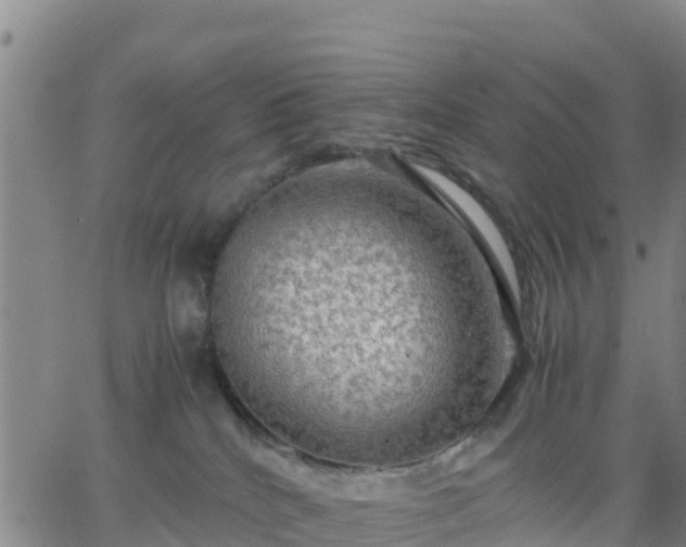 X0000063460040200601271615