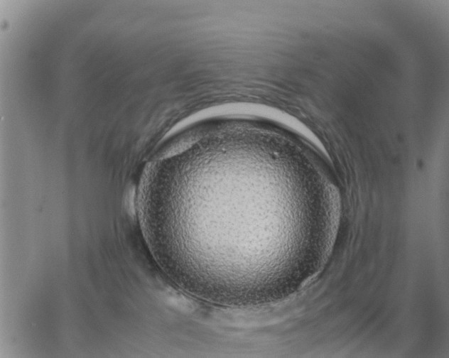 X0000063460041200601271615