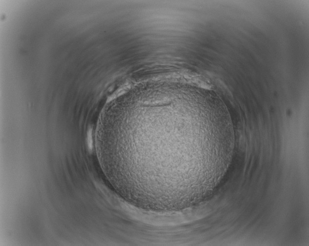 X0000063460042200601271615