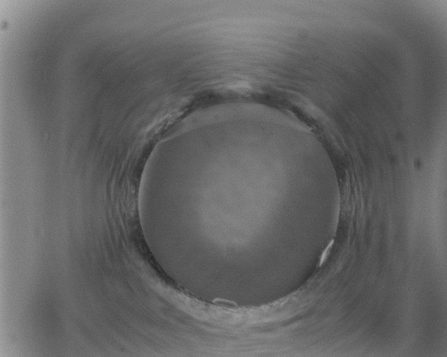 X0000063460043200601271615