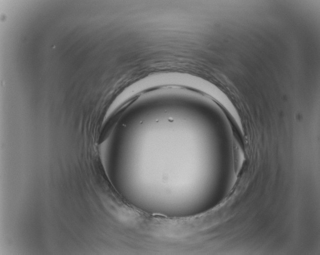 X0000063460045200601271615