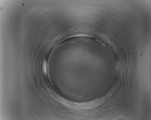 X0000063460046200601271615