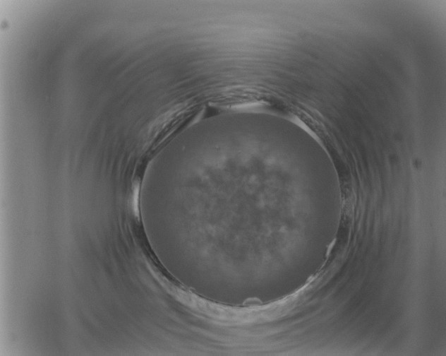 X0000063460047200601271615