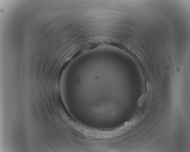 X0000063460048200601271615