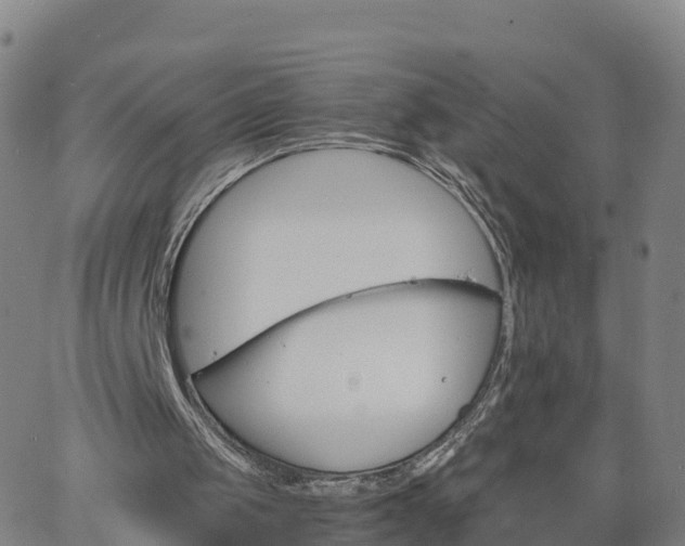 X0000063460049200601271614