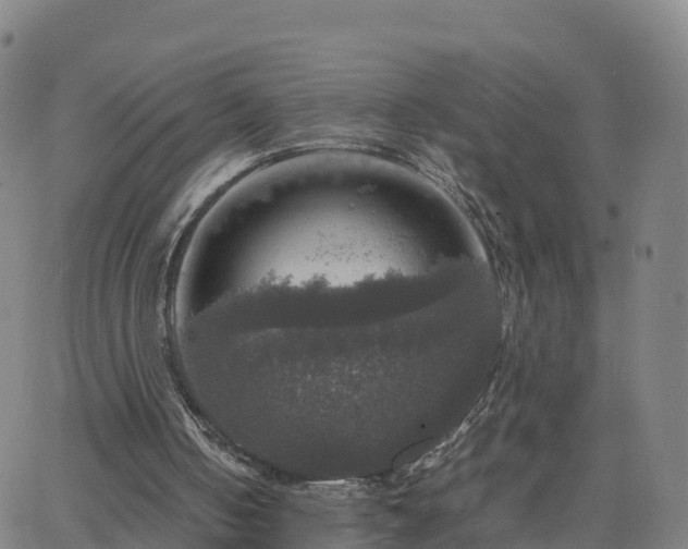 X0000063460050200601271614