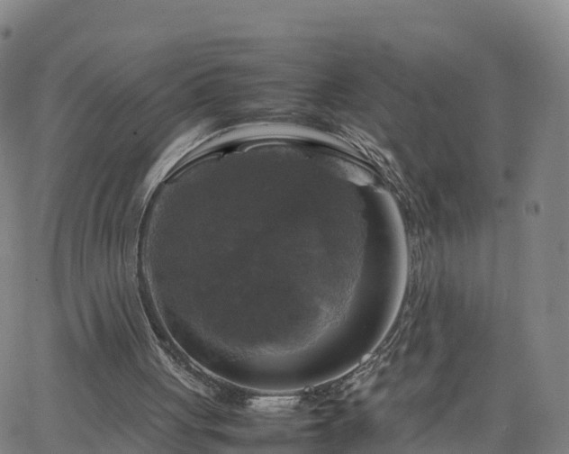 X0000063460051200601271614