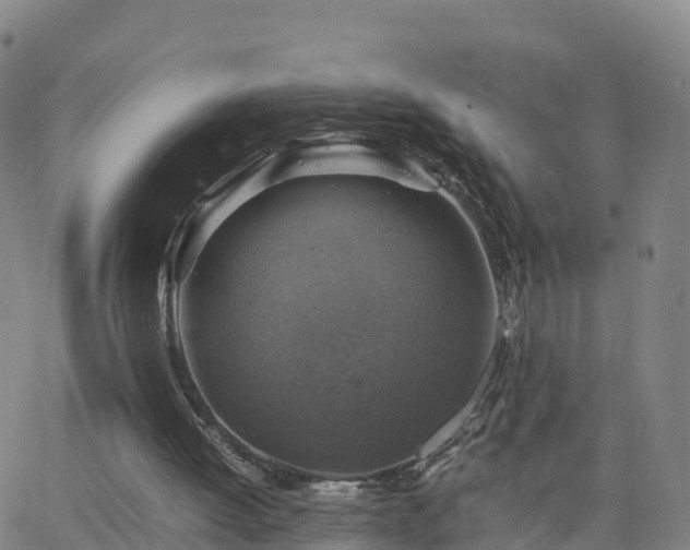 X0000063460052200601271614