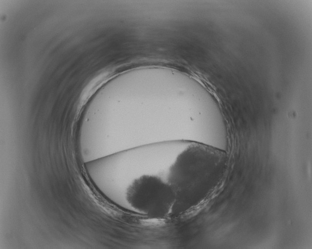 X0000063460053200601271614