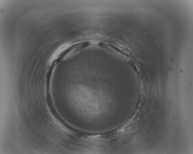 X0000063460054200601271614