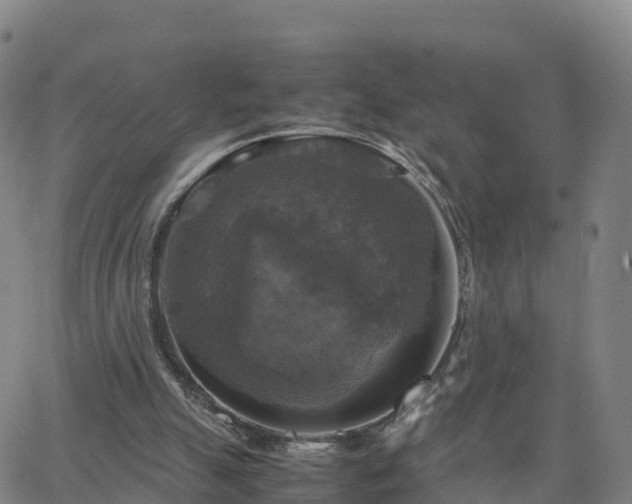 X0000063460055200601271614