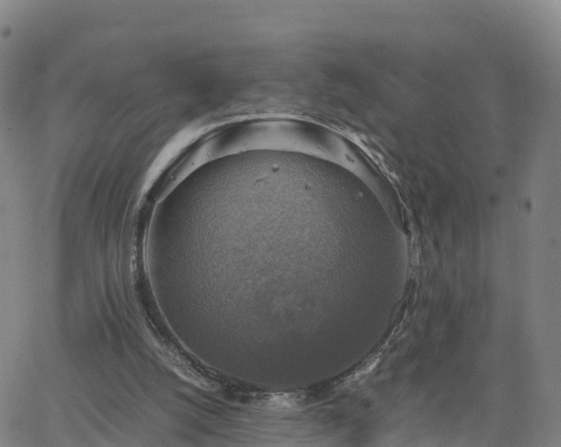 X0000063460056200601271614