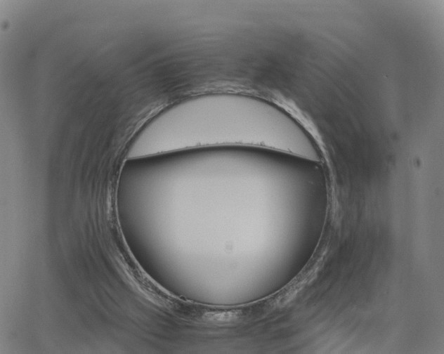 X0000063460057200601271614