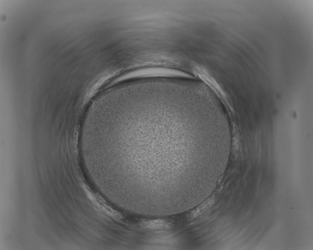 X0000063460058200601271615