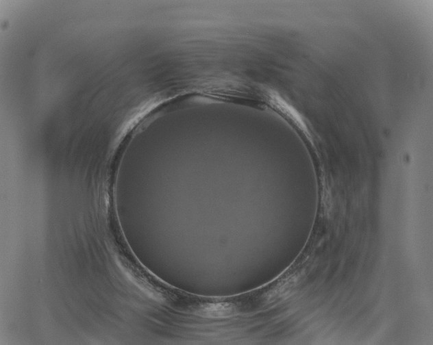 X0000063460059200601271615