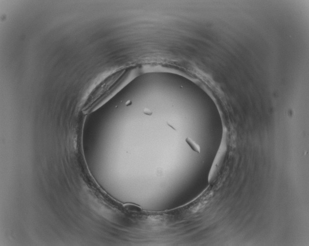 X0000063460060200601271615