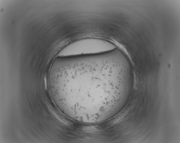 X0000063460061200601271615