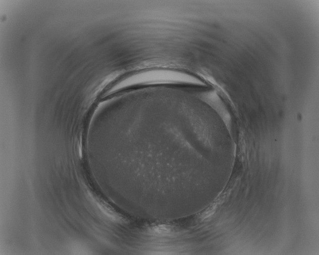 X0000063460062200601271615