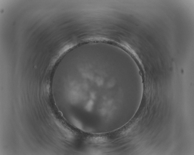 X0000063460063200601271615