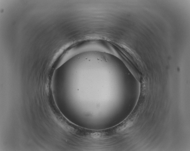 X0000063460064200601271615