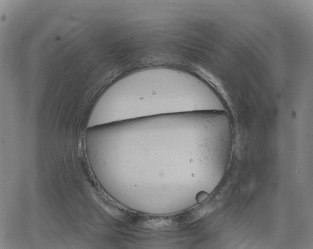 X0000063460065200601271615