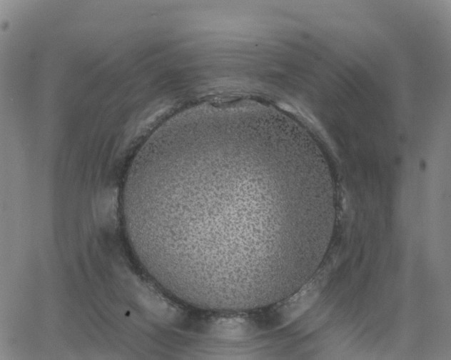 X0000063460066200601271615