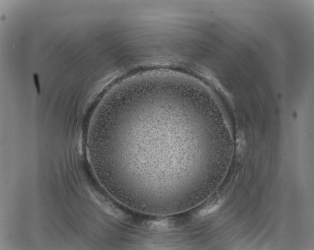 X0000063460068200601271615