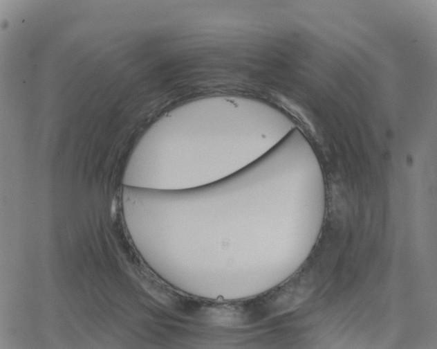 X0000063460069200601271615