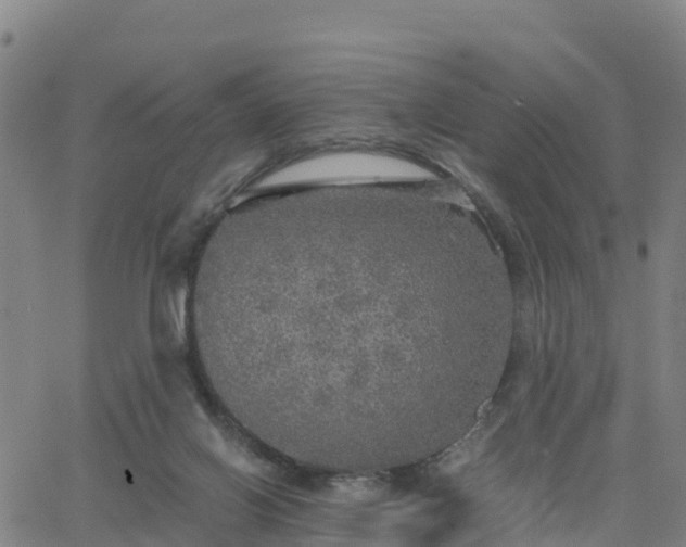 X0000063460070200601271615