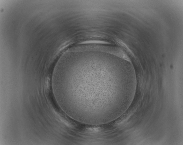 X0000063460071200601271615