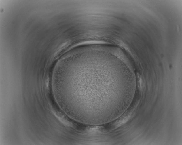 X0000063460072200601271615