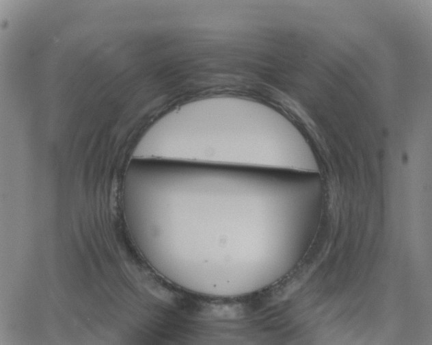 X0000063460073200601271615