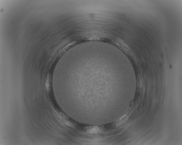 X0000063460074200601271615