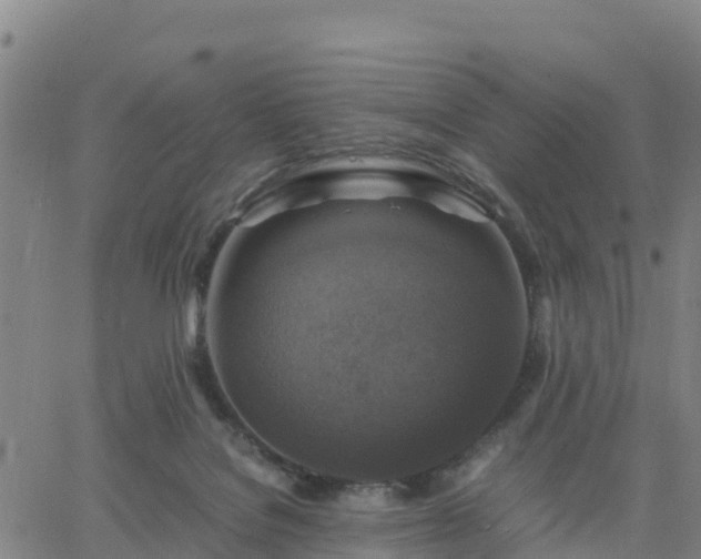 X0000063460076200601271615