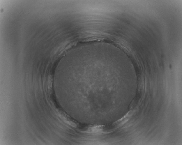 X0000063460078200601271615