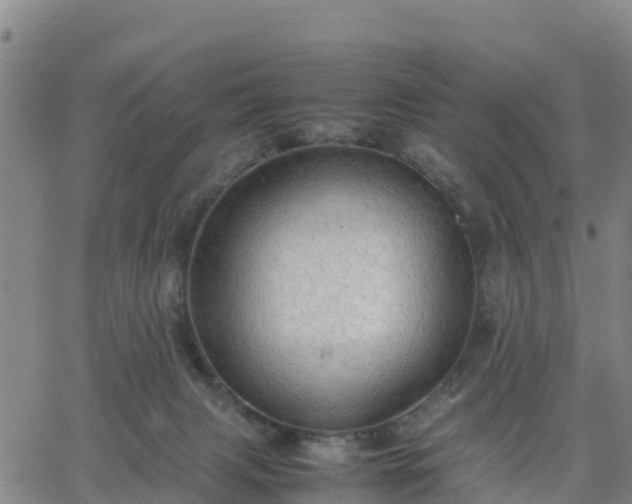 X0000063460079200601271615