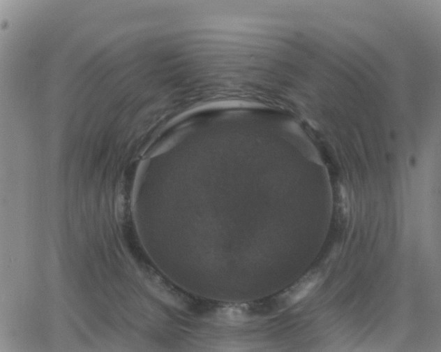 X0000063460080200601271615